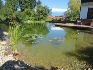 Schwimmteich schottern, bepflanzen und dekorieren